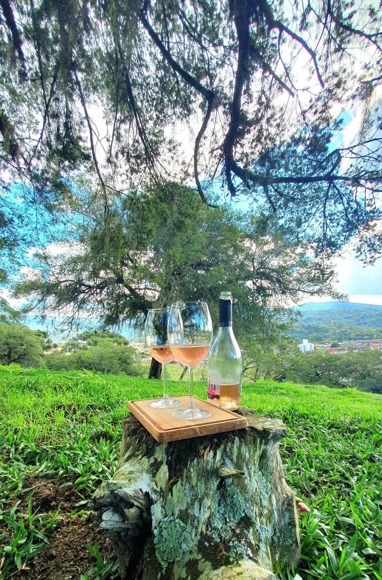 Cabana Canto Lindo - Urubici-Sc Екстер'єр фото