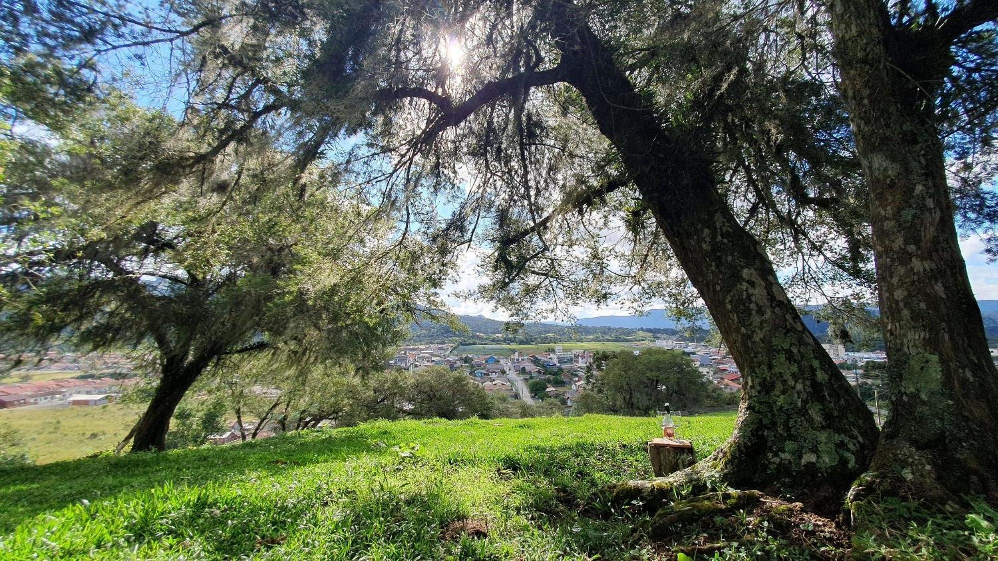 Cabana Canto Lindo - Urubici-Sc Екстер'єр фото