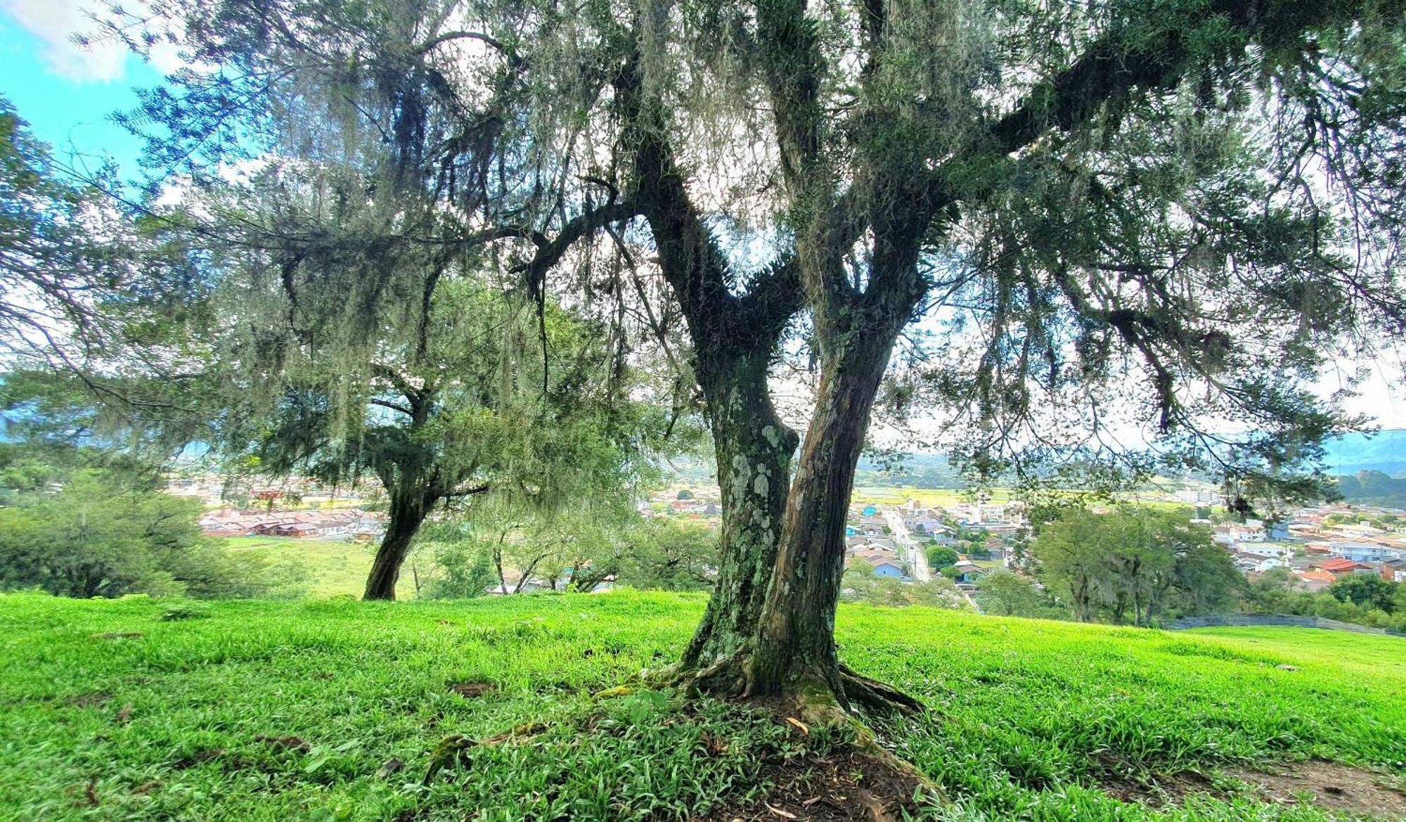 Cabana Canto Lindo - Urubici-Sc Екстер'єр фото
